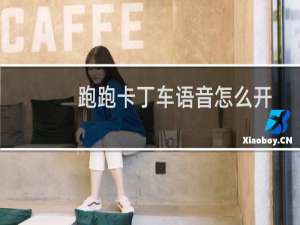 跑跑卡丁车语音怎么开