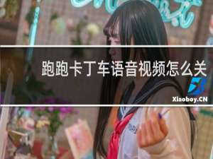 跑跑卡丁车语音视频怎么关