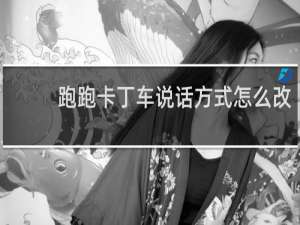 跑跑卡丁车说话方式怎么改