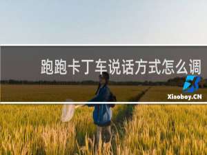 跑跑卡丁车说话方式怎么调