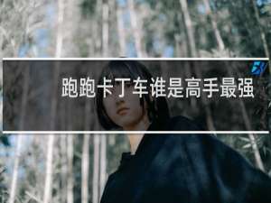 跑跑卡丁车谁是高手最强