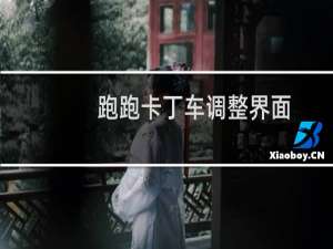 跑跑卡丁车调整界面