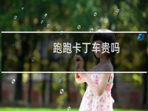 跑跑卡丁车贵吗