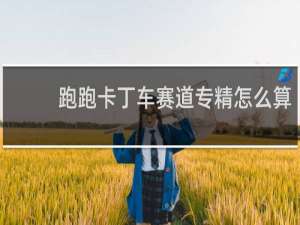 跑跑卡丁车赛道专精怎么算