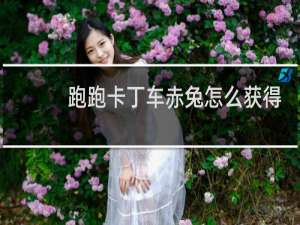 跑跑卡丁车赤兔怎么获得