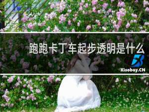 跑跑卡丁车起步透明是什么