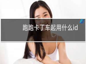 跑跑卡丁车起用什么id