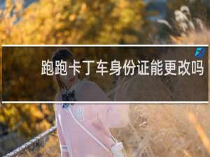 跑跑卡丁车身份证能更改吗