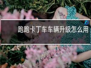 跑跑卡丁车车辆升级怎么用