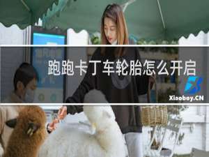 跑跑卡丁车轮胎怎么开启
