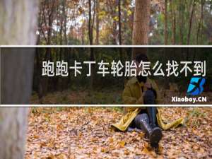 跑跑卡丁车轮胎怎么找不到