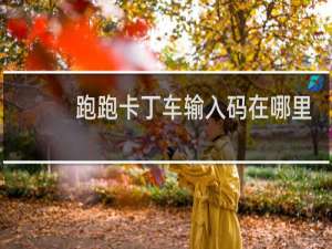 跑跑卡丁车输入码在哪里