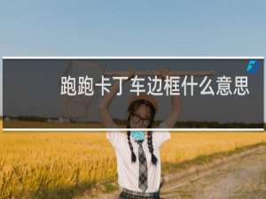 跑跑卡丁车边框什么意思