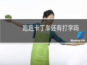 跑跑卡丁车还有打字吗
