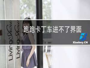 跑跑卡丁车进不了界面