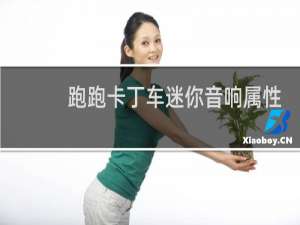 跑跑卡丁车迷你音响属性