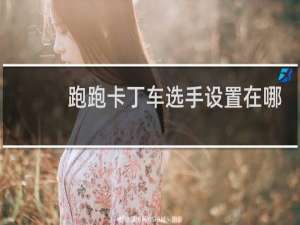 跑跑卡丁车选手设置在哪