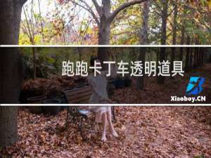 跑跑卡丁车透明道具