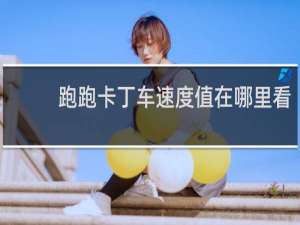 跑跑卡丁车速度值在哪里看