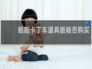 跑跑卡丁车道具版能否购买