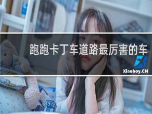 跑跑卡丁车道路最厉害的车