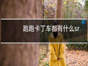 跑跑卡丁车都有什么sr