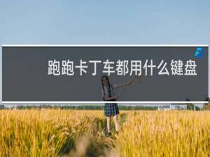 跑跑卡丁车都用什么键盘