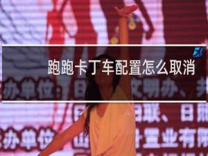 跑跑卡丁车配置怎么取消