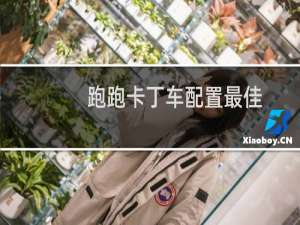跑跑卡丁车配置最佳