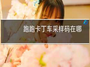 跑跑卡丁车采样码在哪