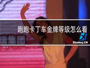 跑跑卡丁车金牌等级怎么看