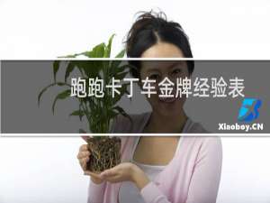 跑跑卡丁车金牌经验表