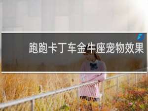 跑跑卡丁车金牛座宠物效果