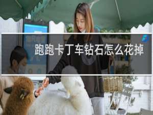 跑跑卡丁车钻石怎么花掉