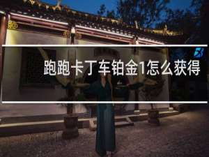 跑跑卡丁车铂金1怎么获得