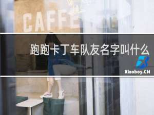 跑跑卡丁车队友名字叫什么