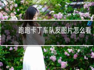跑跑卡丁车队友图片怎么看