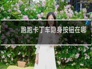 跑跑卡丁车隐身按钮在哪