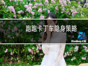 跑跑卡丁车隐身策略