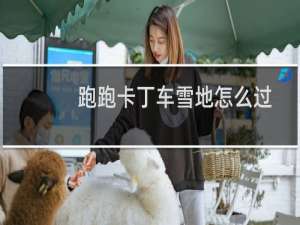 跑跑卡丁车雪地怎么过