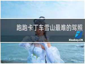 跑跑卡丁车雪山最难的驾照