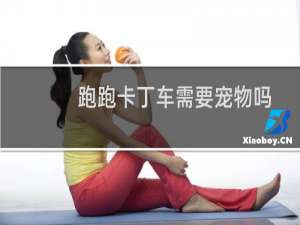 跑跑卡丁车需要宠物吗