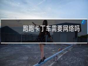 跑跑卡丁车需要网络吗