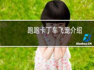 跑跑卡丁车飞宠介绍