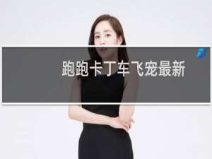 跑跑卡丁车飞宠最新