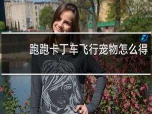 跑跑卡丁车飞行宠物怎么得