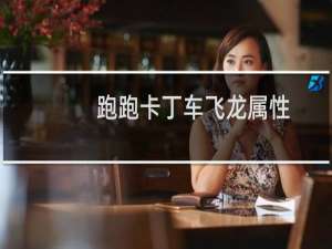 跑跑卡丁车飞龙属性
