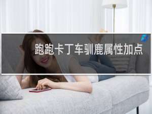 跑跑卡丁车驯鹿属性加点