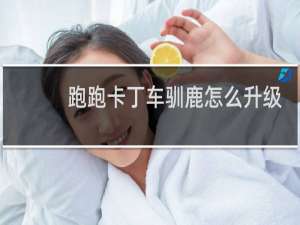 跑跑卡丁车驯鹿怎么升级