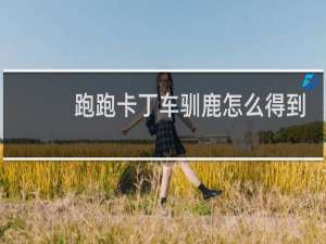 跑跑卡丁车驯鹿怎么得到